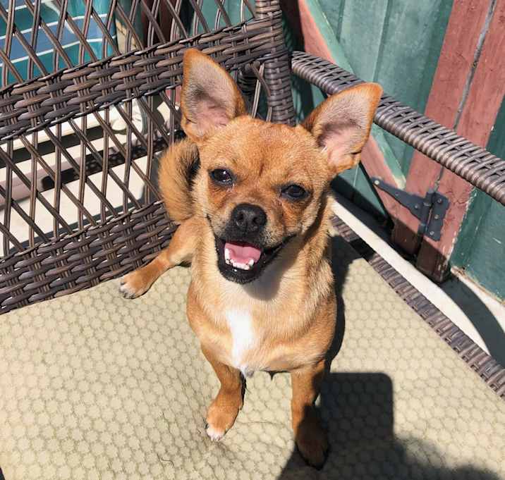 Photo of Kiwi