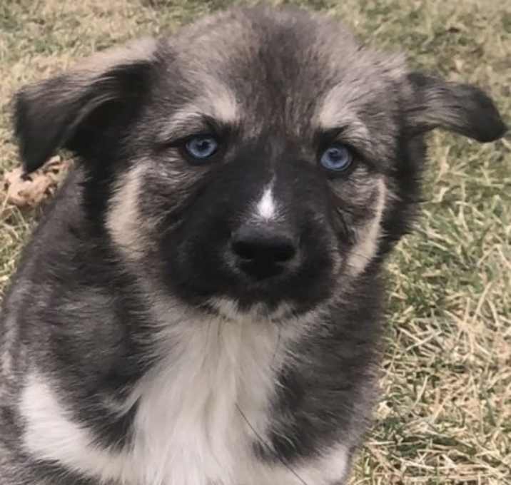Photo of Dottie