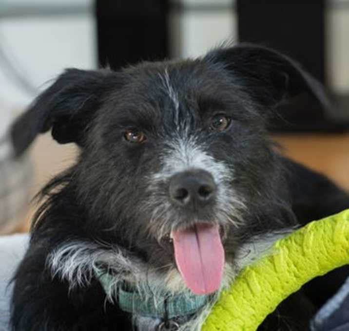 Photo of Evie