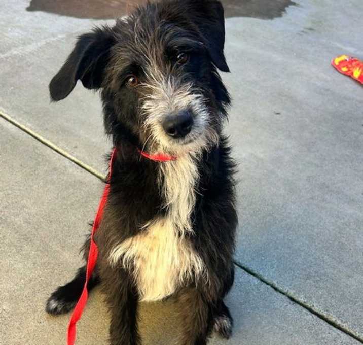 Photo of Eddie