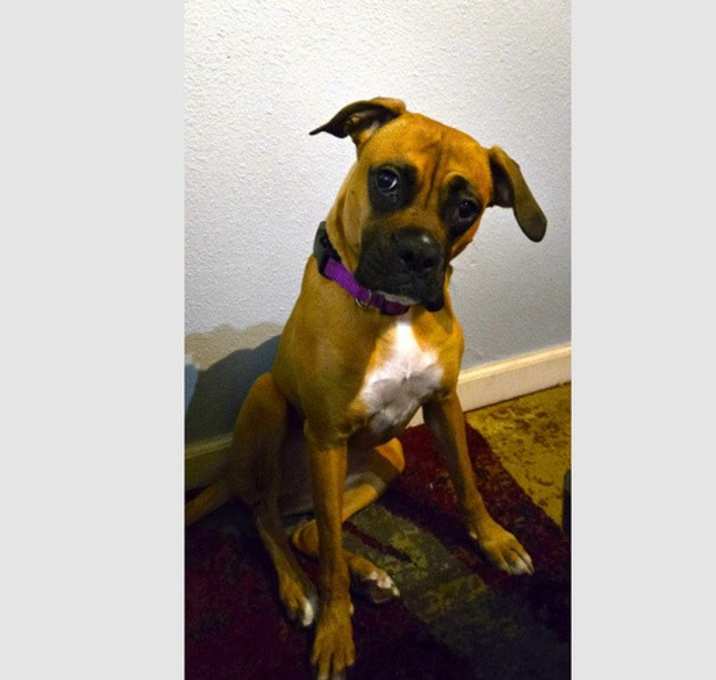Photo of Luna X
