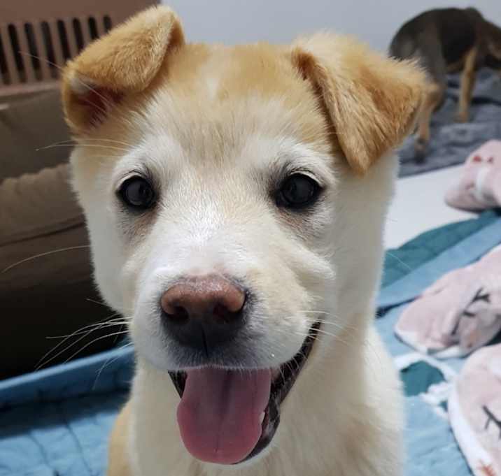 Photo of S'more (S. Korea) hz