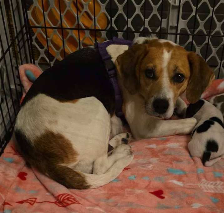 Photo of Delilah