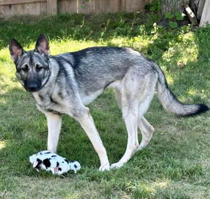 Photo of Noel 0467