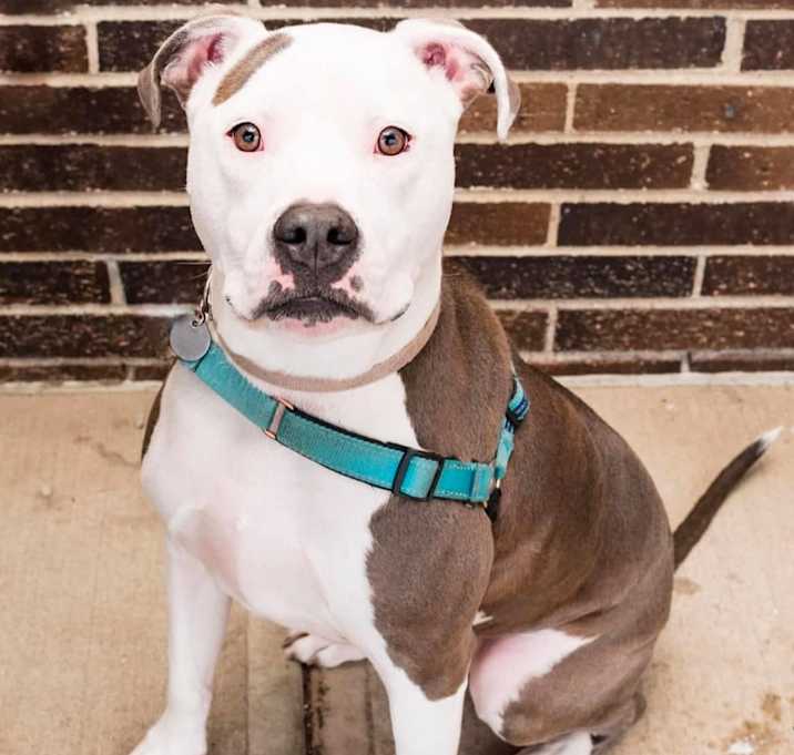 Photo of Icy