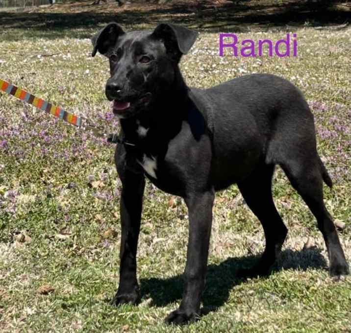 Photo of Randi
