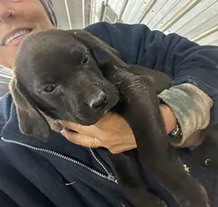 Photo of Cute Felix