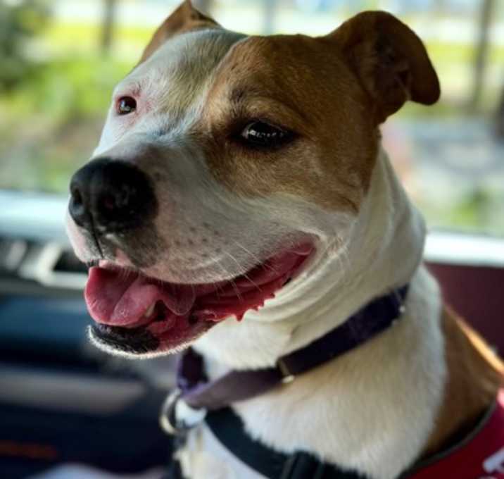 Photo of Lucy