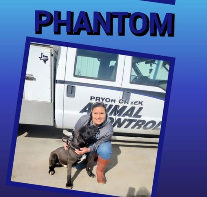 Photo of Phantom # 9994
