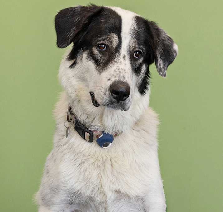 Photo of Missy