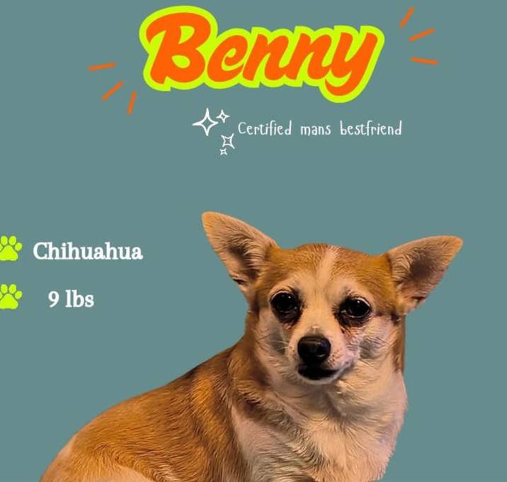 Photo of Benny Bon Bon