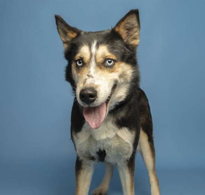 Photo of STAR