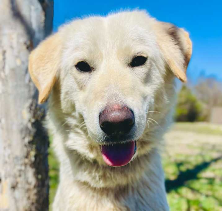 Photo of Lucy