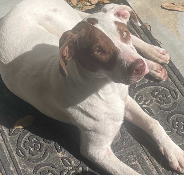Photo of Missy