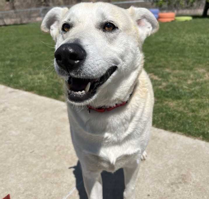 Photo of Bernie