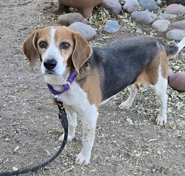 Photo of keira