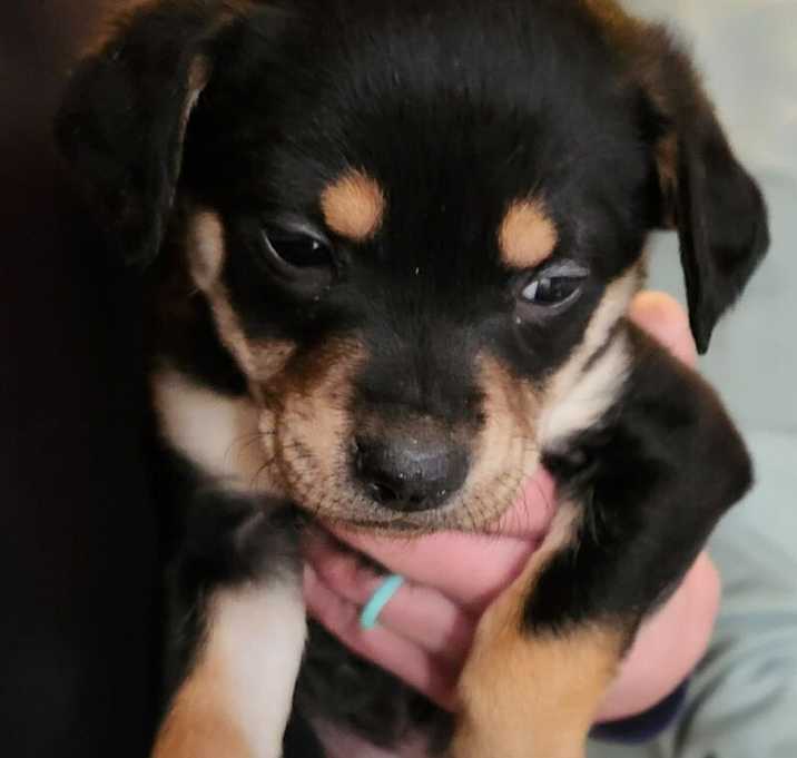 Photo of Evelyn