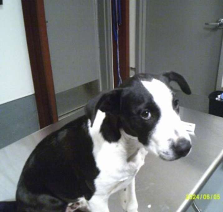 Photo of Mookie