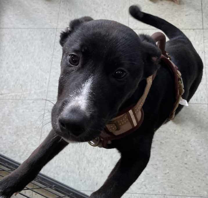 Photo of Jack