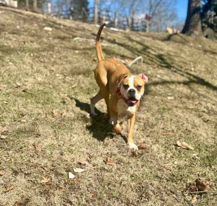 Photo of Batgirl