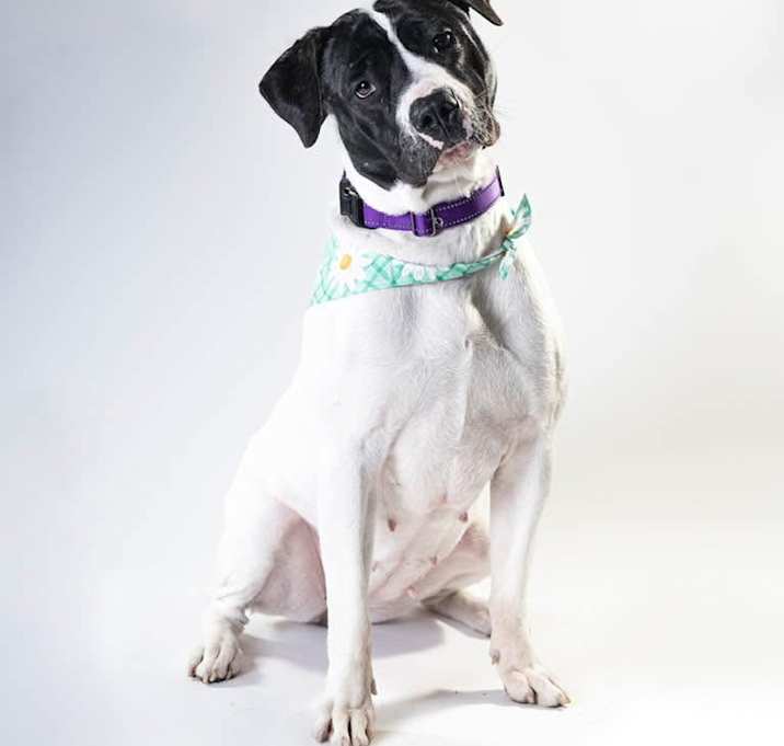 Photo of Zadie