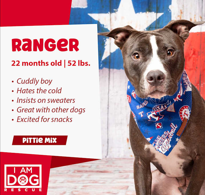 Photo of Ranger