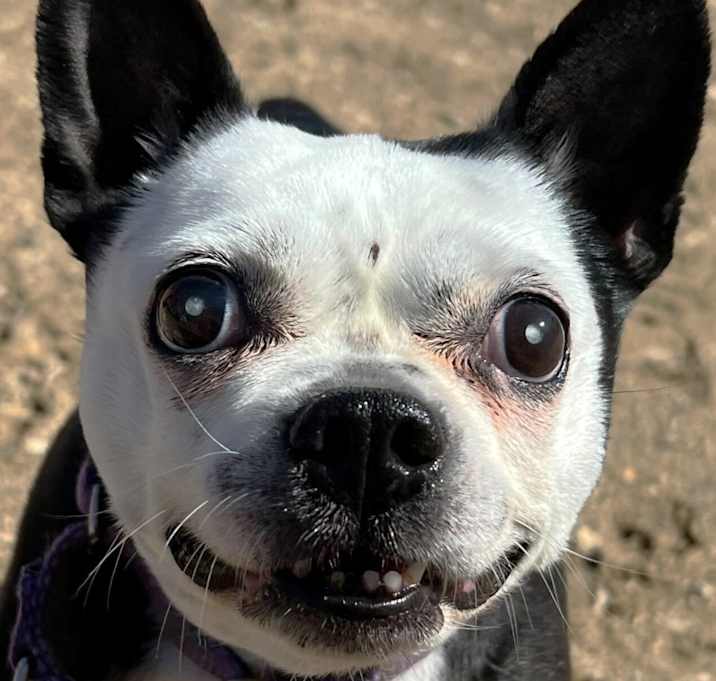 Photo of Winny