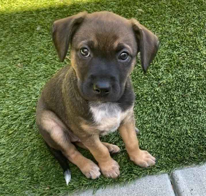 Photo of Lucy