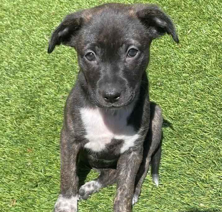 Photo of Sally