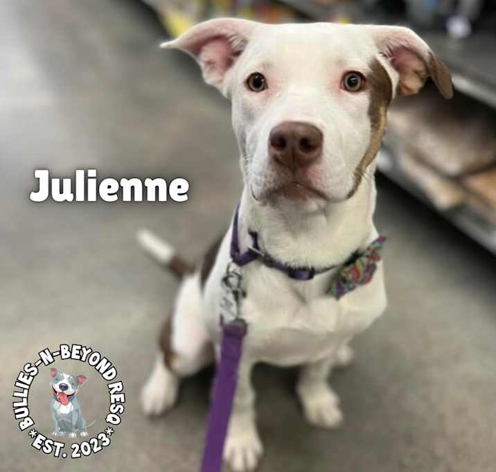 Photo of The Potato Litter:  Julienne