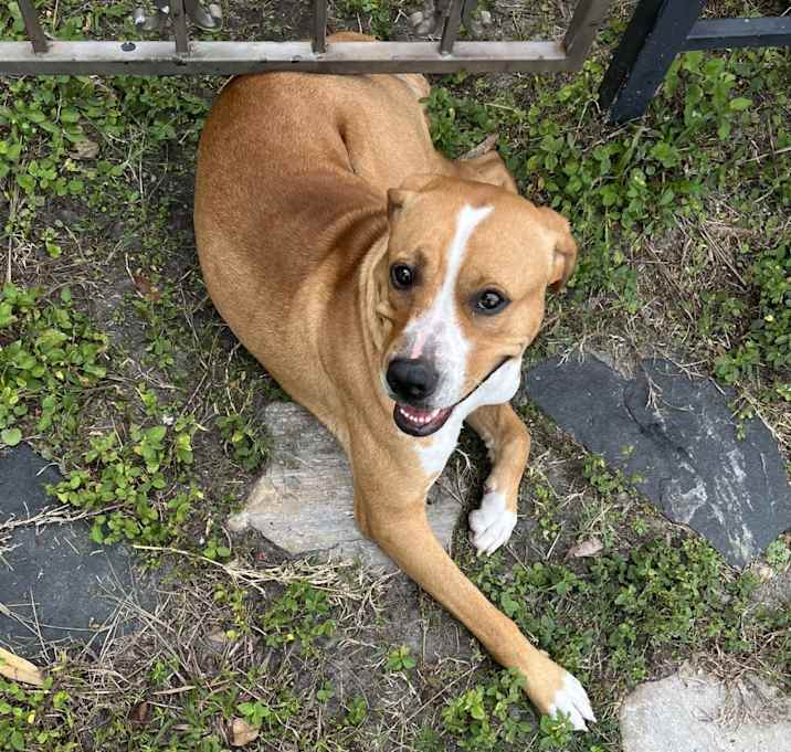 Photo of Bud