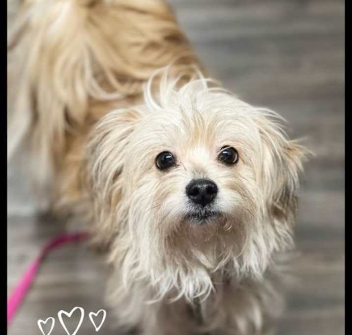 Photo of Zena