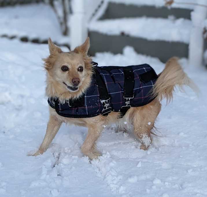 Photo of Charlie