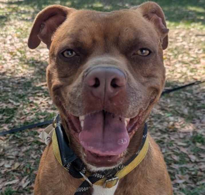 Photo of Rosco