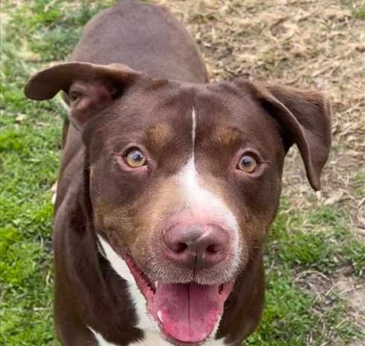 Photo of BUTCH