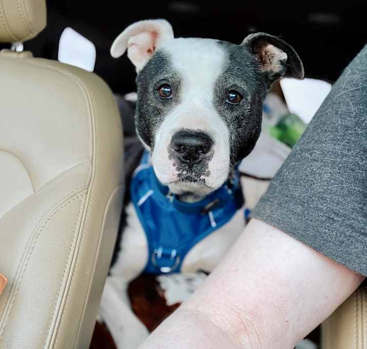 Photo of Gerald (Sponsored)