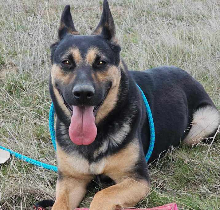 Photo of Zara