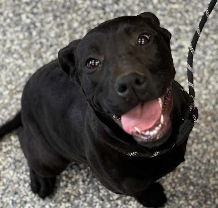 Photo of Finley