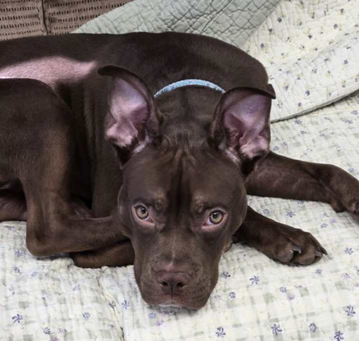 Photo of Rudy
