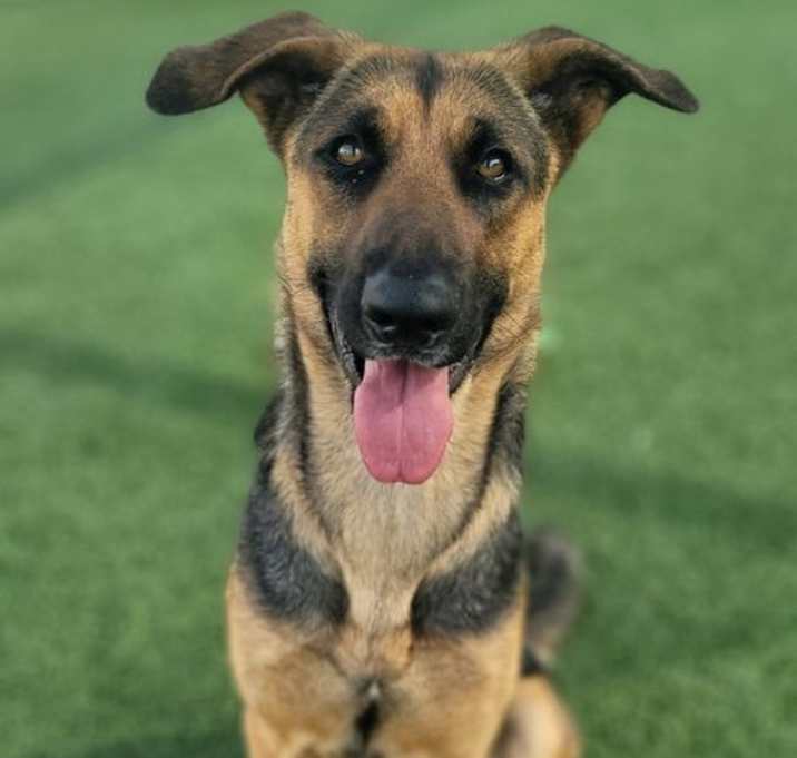 Photo of Lily