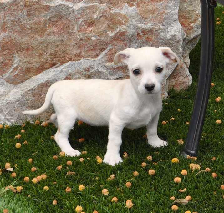 Photo of Jessie