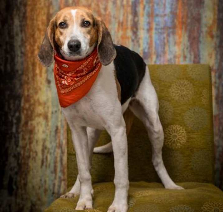 Photo of Ida Mae