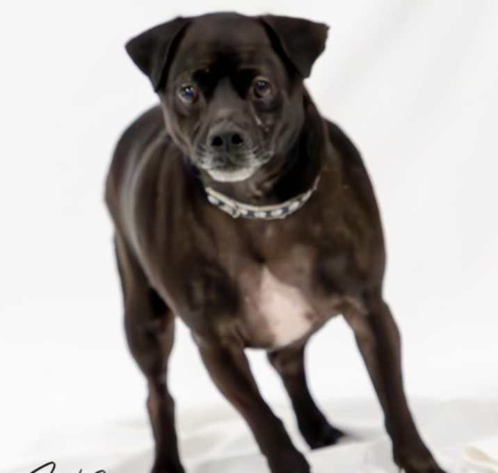 Photo of Chubbington