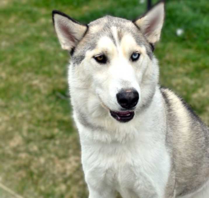 Photo of Flash