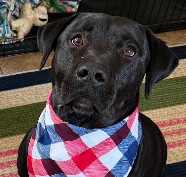 Photo of Bucky