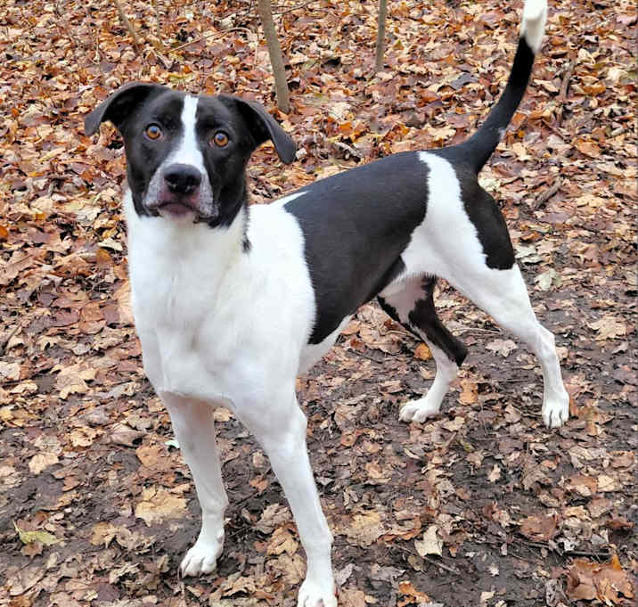 Photo of Buddy