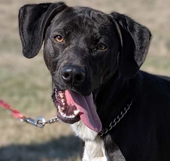 Photo of Zip