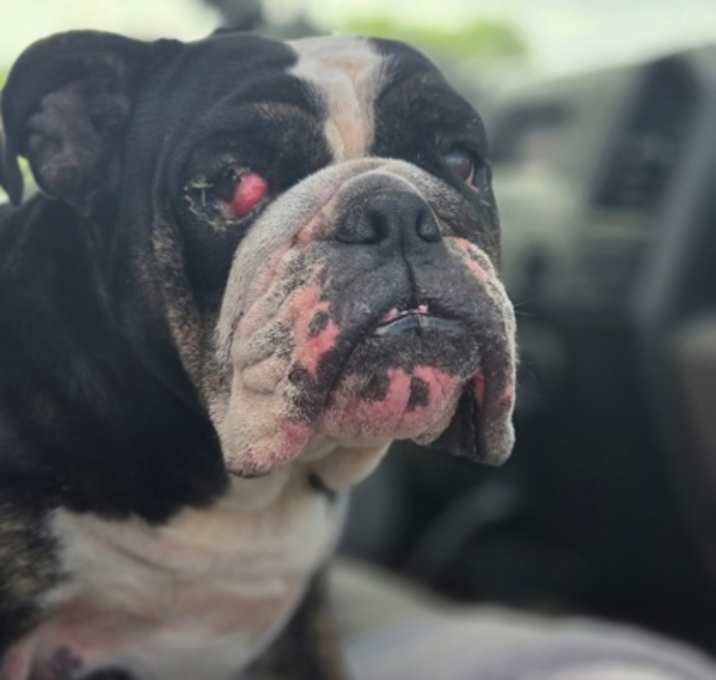 Photo of Tubby