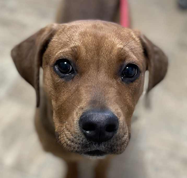 Photo of Bonnie