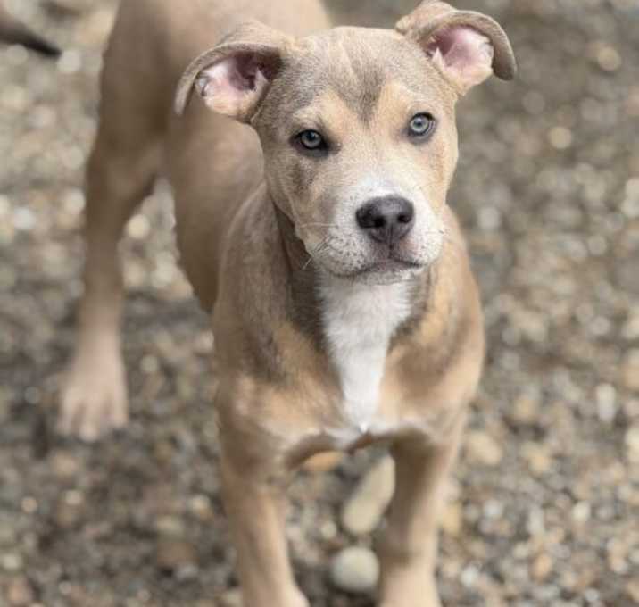 Photo of Tito's Growjito